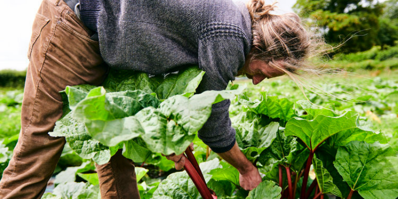 Regenerative Agriculture: How Wellness Brands Are Tackling Climate Change 