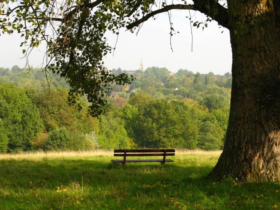 Hampstead health is an amazing place to breathe in London